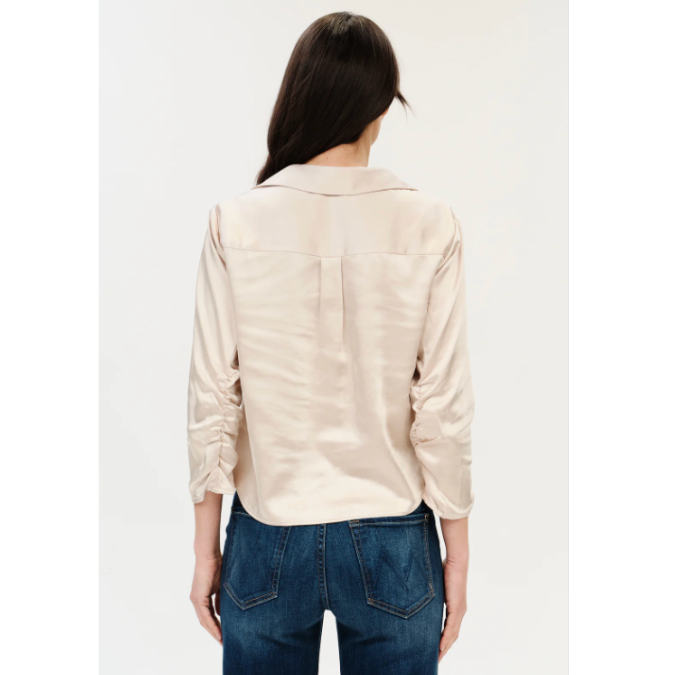 Desi Satin Top