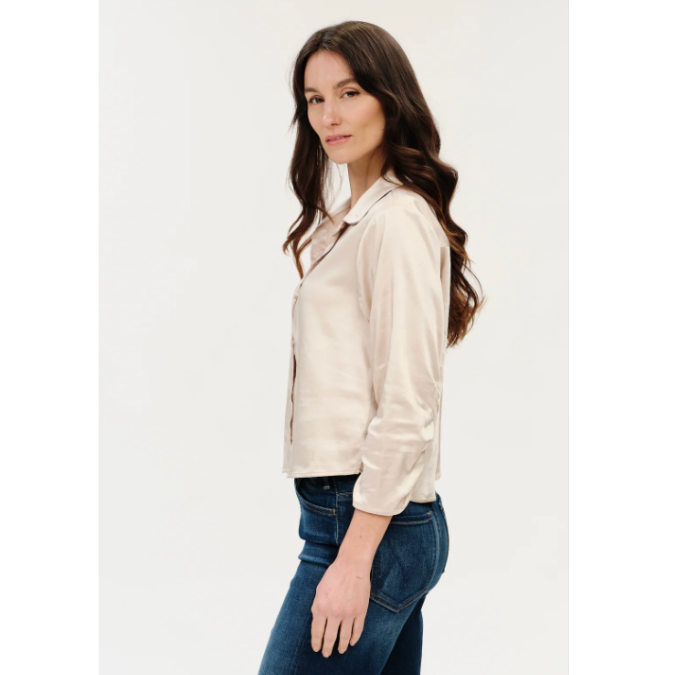 Desi Satin Top