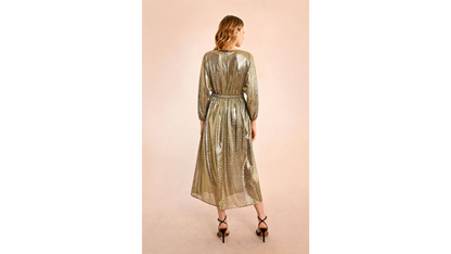 Long Metallic Dress